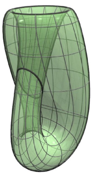 Klein Bottle